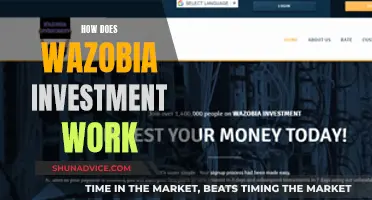 Unraveling Wazobia Investment: A Comprehensive Guide to How It Works