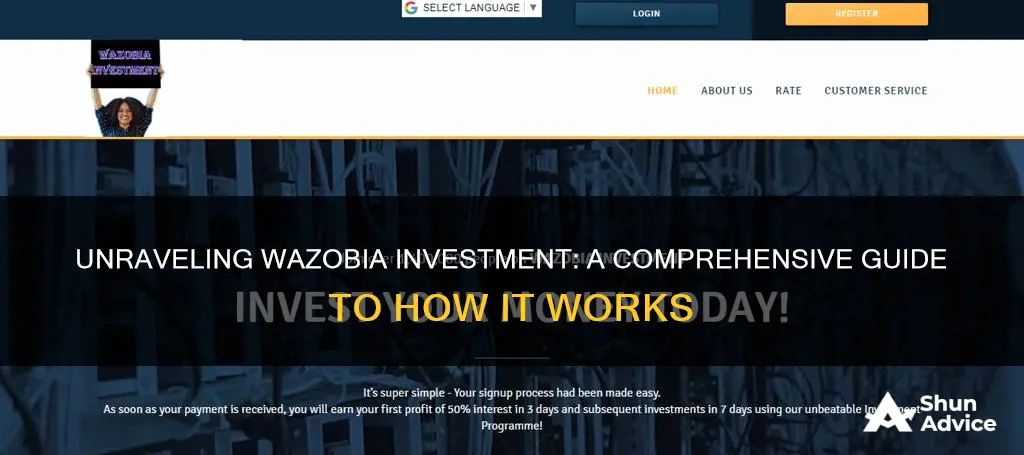 how does wazobia investment work