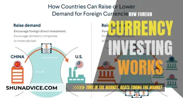 Unlocking Global Markets: A Beginner's Guide to Foreign Currency Investing