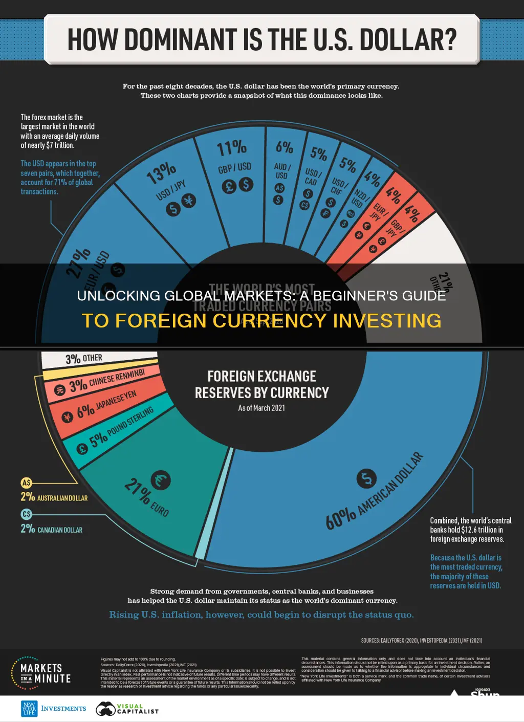 how foreign currency investing works