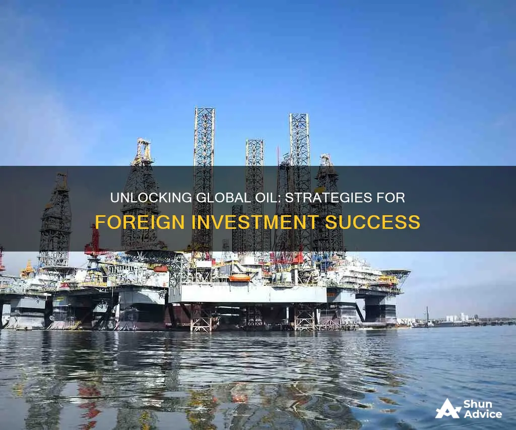 how foreign firms invest in oil