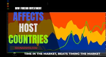 Foreign Investment's Impact: A Host Country's Perspective