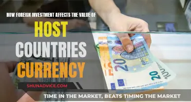 Foreign Investment's Impact: Currency Value Fluctuations Explained