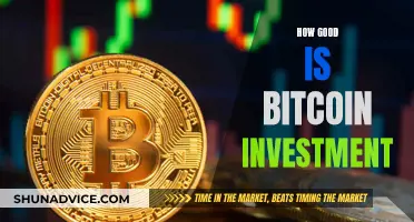 Bitcoin Investment: A Smart Financial Move?