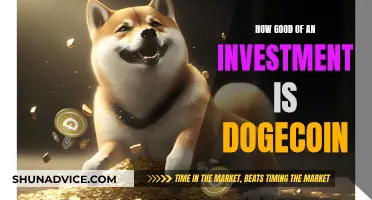 Dogecoin: A Risky Investment or a Smart Move?