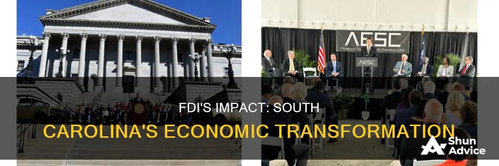 how has foreign direct investment helped or hurt south carolina