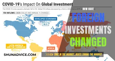 Foreign Investment Evolution: Past, Present, and Future Trends