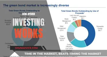 Hybrid Investing: Blending Traditional and Alternative Strategies