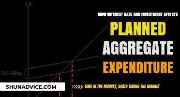 Interest Rates, Investment, and the Aggregate Expenditure Plan