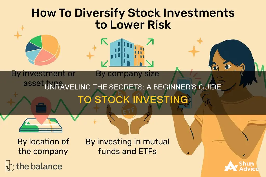 how investing in stovks works