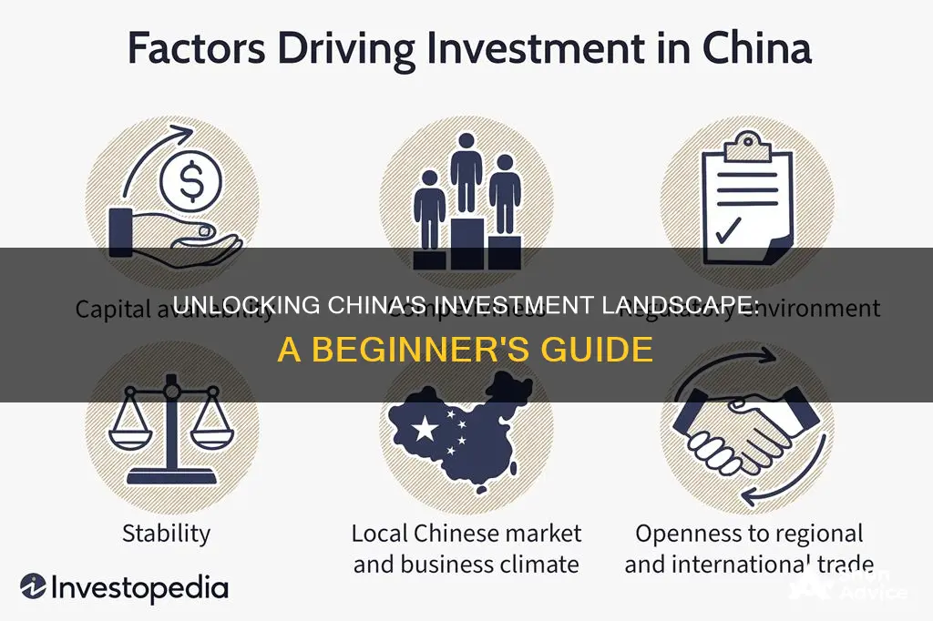 how investing works in china