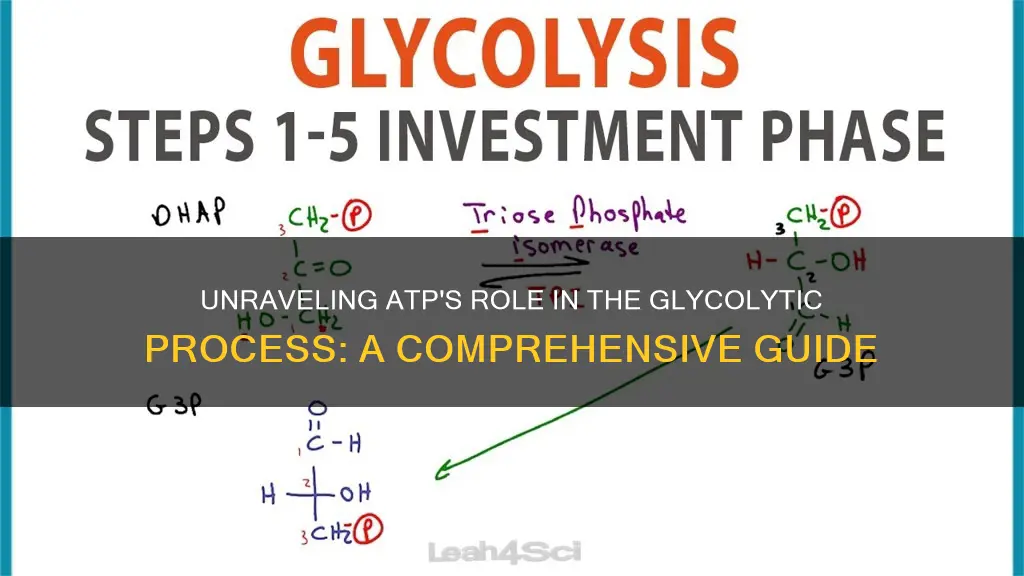 how investment of atp works in glycolysis