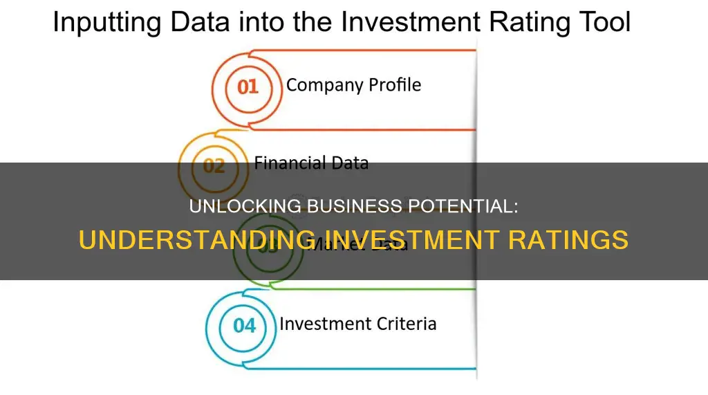 how investment rating works for business