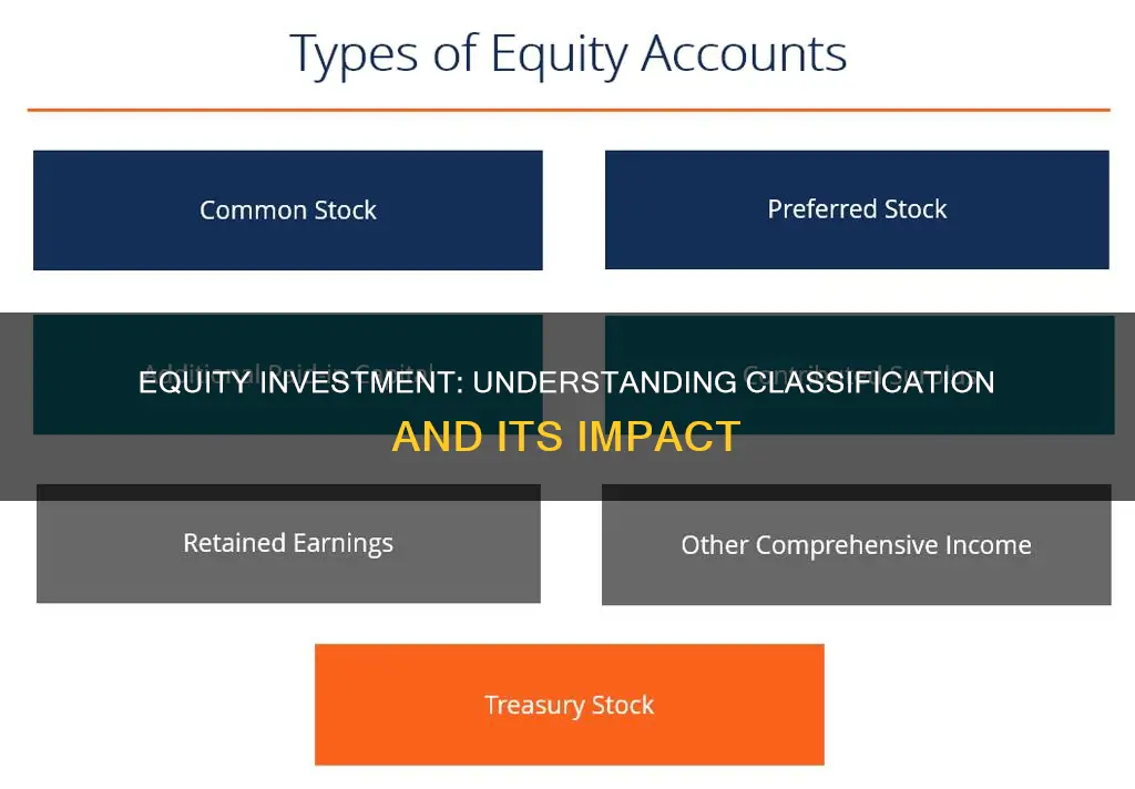 how is an equity investment classified