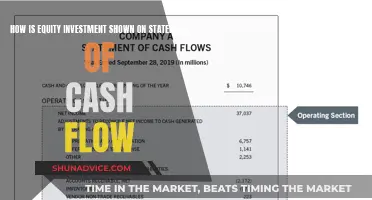 Equity Investment's Impact on Cash Flow Statements