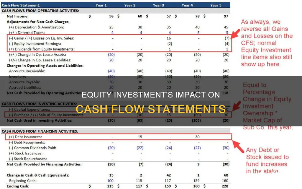 how is equity investment shown on statement of cash flow