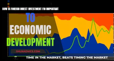 FDI's Impact: Unlocking Economic Growth and Development