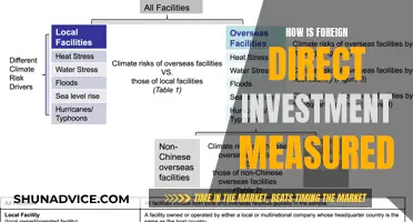 Unraveling the Metrics: Measuring Foreign Direct Investment