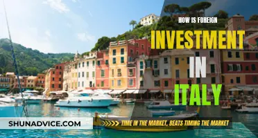 Exploring Italy's Foreign Investment Landscape: Opportunities and Challenges