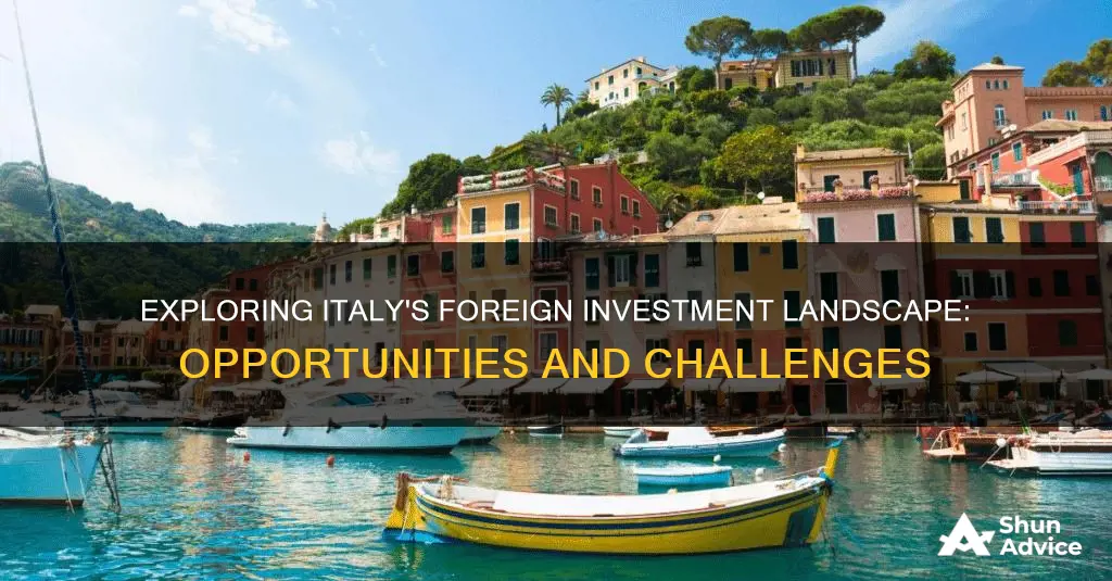 how is foreign investment in italy