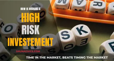 Housing Market: High-Risk Investment Strategies and Uncertain Returns