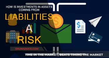 Asset Investments: Liabilities and Risks