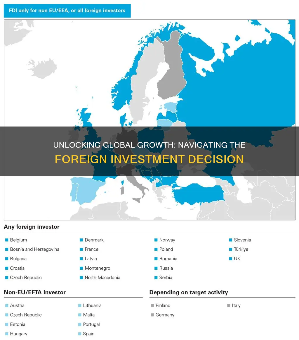 how is the direct foreign investment decision made