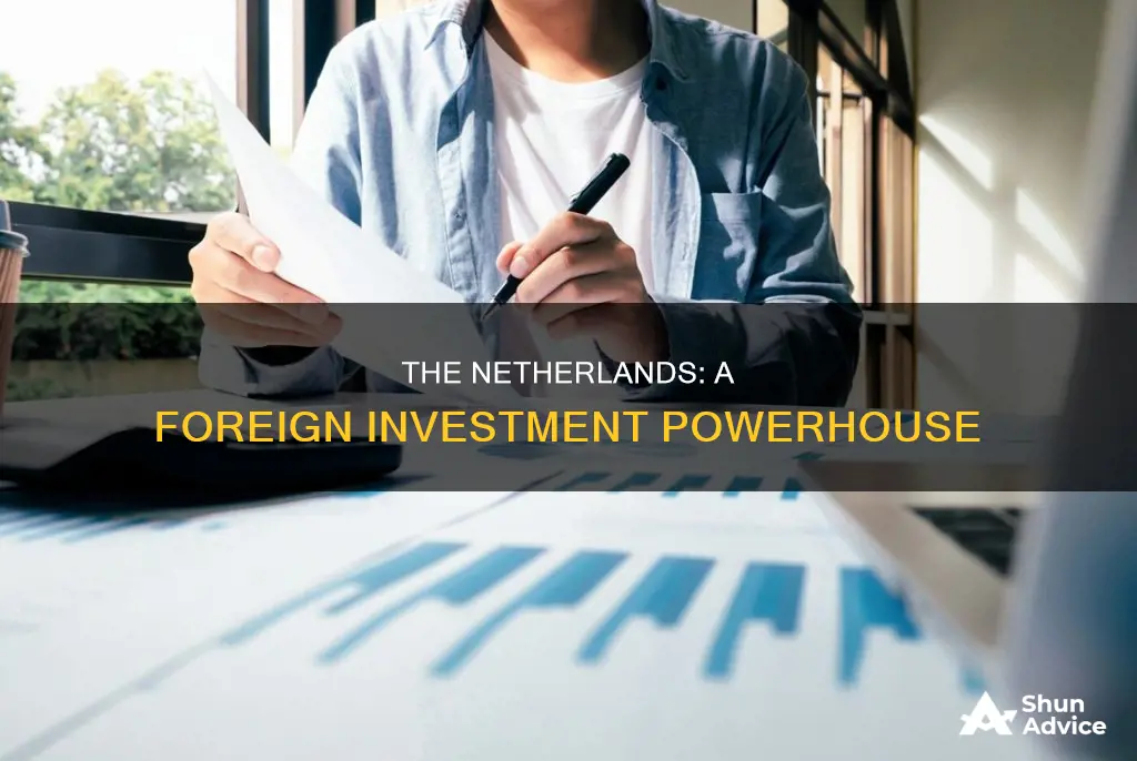 how is the netherlands with foreign investment