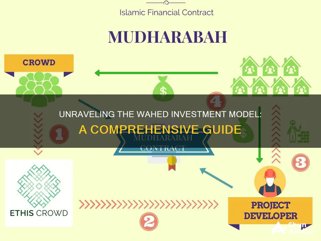 how is the wahed investment work