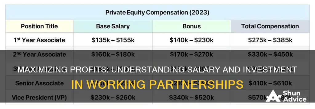 how is working partner salary with investment