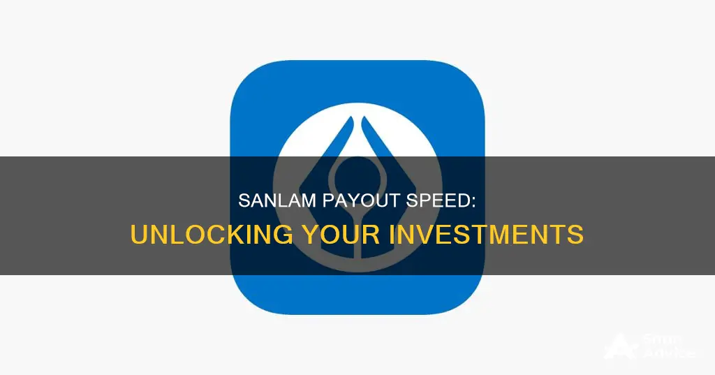 how long does sanlam take to pay out investment