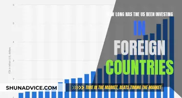 A Century of American Foreign Investment: A Historical Overview