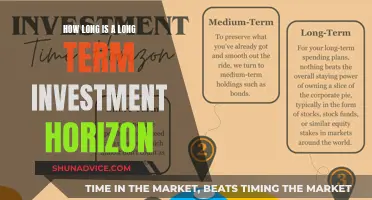 Maximizing Long-Term Wealth: Understanding Your Investment Horizon