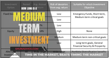 Unlocking the Mystery: Medium-Term Investing Strategies