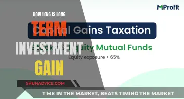 Maximizing Long-Term Investment Returns: Understanding the Time Horizon