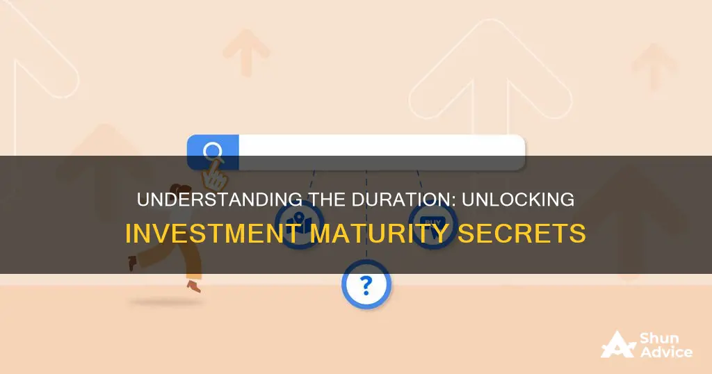 how long is the term to maturity of the investment