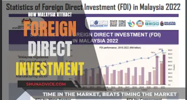 Malaysia's Investment Magnetism: Unlocking Foreign Capital Flows