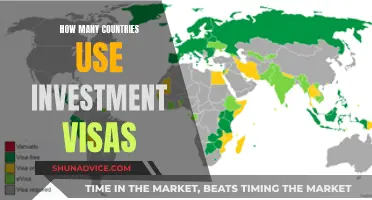 Investment Visas: Global Reach and Country Accessibility