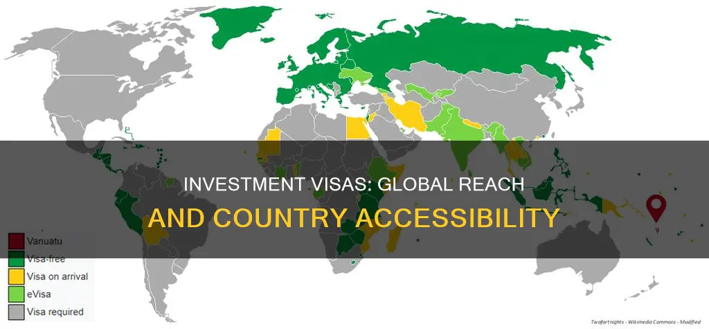 how many countries use investment visas