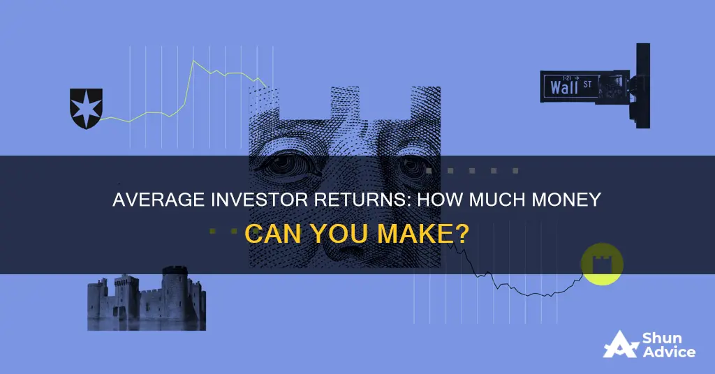 how many does an average invester make