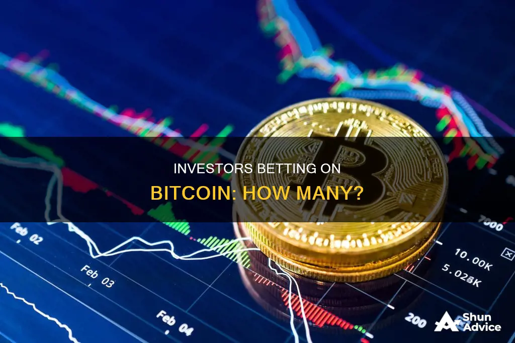 how many investors invest in bitcoin