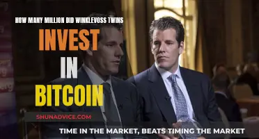 Bitcoin's Winklevoss Twins: Millions Invested, Billions Made