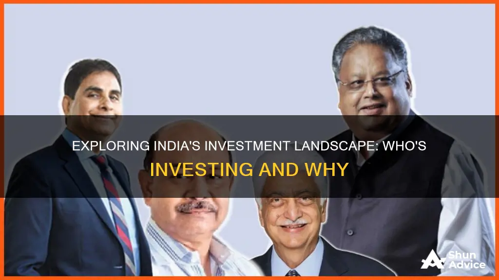 how many people invest in india