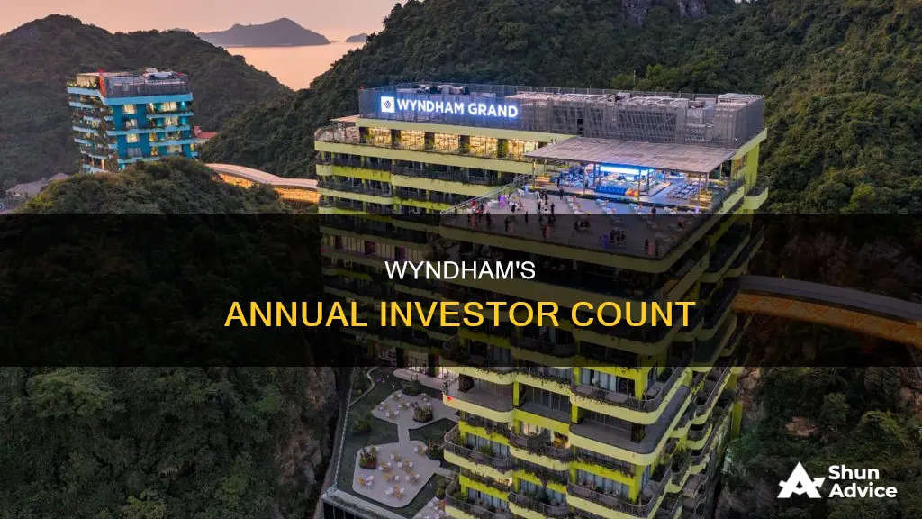 how many people invest in wyndham each year