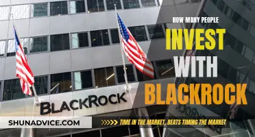 BlackRock: Investors' Choice