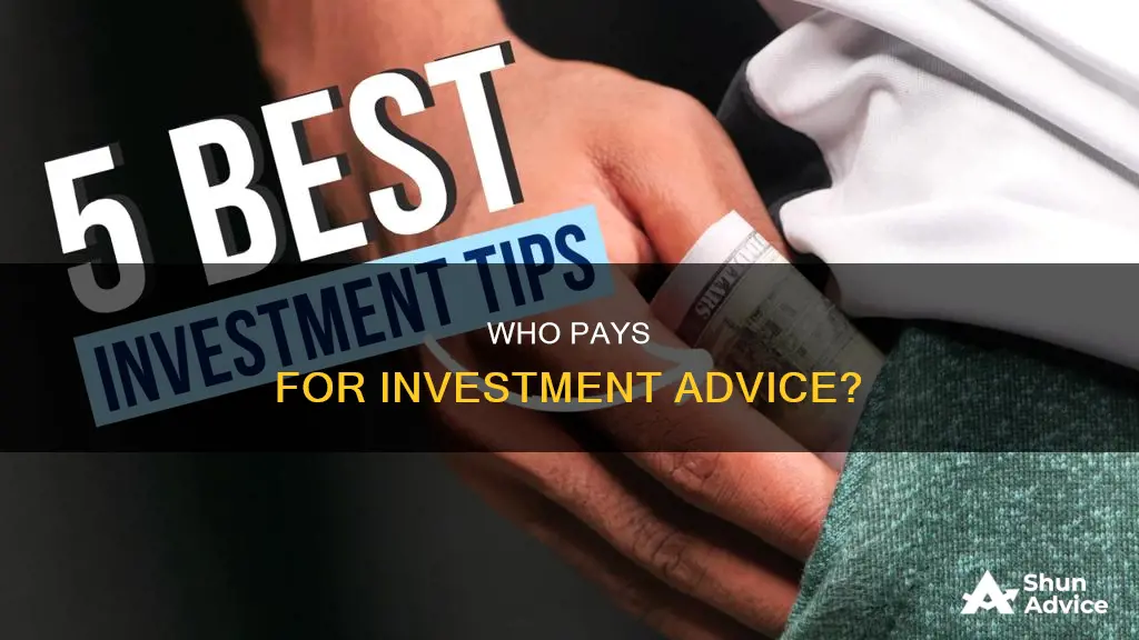 how many people pay for investment advice