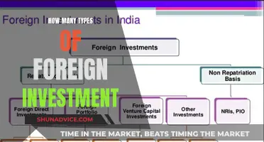 Exploring the Diverse Landscape of Foreign Investment Types