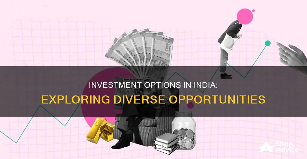 how many types of investment in india