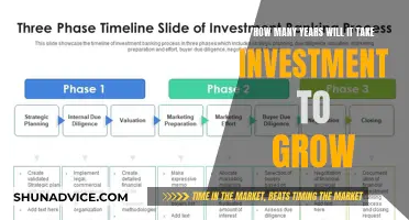 The Time Value of Money: Understanding Investment Growth