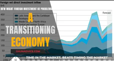 Foreign Investment's Pitfalls: Navigating Economic Transition Challenges